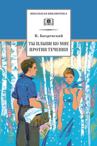 Ты плыви ко мне против течения - Владислав Анатольевич Бахревский