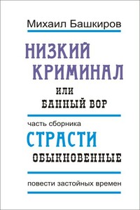 Низкий криминал, или Банный вор - Михаил Викторович Башкиров