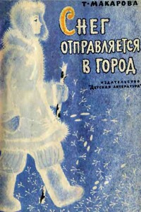 Снег отправляется в город - Татьяна Константиновна Макарова