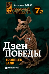 Дзен победы - 2. Troubled Land - Александр Сурков