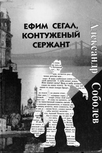 Ефим Сегал, контуженый сержант - Александр Владимирович Соболев