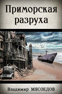 Приморская разруха - Владимир Михайлович Мясоедов