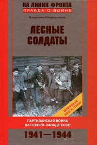 Лесные солдаты. Партизанская война на Северо-Западе СССР. 1941-1944 - Владимир Александрович Спириденков