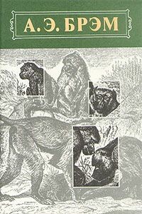 Жизнь животных, Том I, Млекопитающие - Альфред Эдмунд Брем