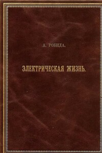 Двадцатое столетие. Электрическая жизнь - Альбер Робида