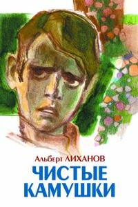 Чистые камушки - Альберт Анатольевич Лиханов