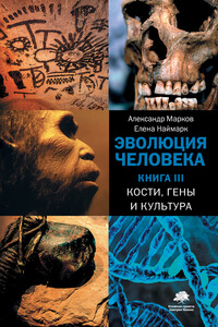 Эволюция человека. Книга 3. Кости, гены и культура - Александр Владимирович Марков