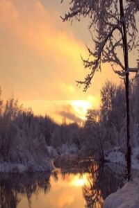 Бессонница - Мария Подалевич