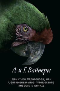 Женитьба Стратонова, или Сентиментальное путешествие невесты к жениху - Георгий Александрович Вайнер