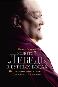 Золотой лебедь в бурных водах. Необыкновенная жизнь Десятого Кармапы - Шамар Ринпоче