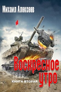 Воскресное утро. Книга вторая - Михаил Егорович Алексеев