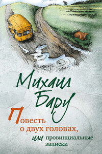 Повесть о двух головах, или Провинциальные записки - Михаил Борисович Бару