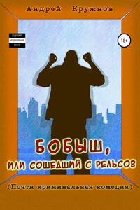 Бобыш, или Сошедший с рельсов - Андрей Эдуардович Кружнов