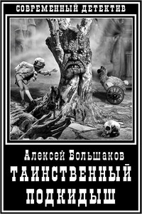 Таинственный подкидыш - Алексей Владимирович Большаков