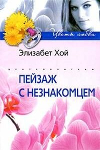 Пейзаж с незнакомцем - Элизабет Хой