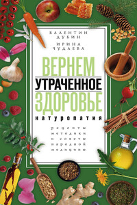 Вернем утраченное здоровье. Натуропатия. Рецепты, методики и советы народной медицины - Ирина Ивановна Чудаева