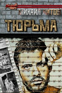 Тюрьма - Михаил Юрьевич Литов