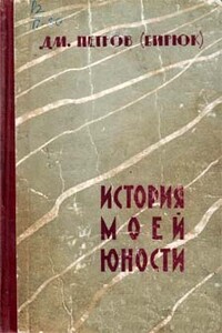 История моей юности - Дмитрий Ильич Петров-Бирюк