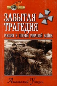 Забытая трагедия. Россия в первой мировой войне - Анатолий Иванович Уткин