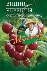 Вишня, черешня. Сорта, выращивание, уход, заготовки - Ирина Станиславовна Пигулевская