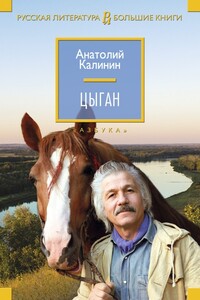 Цыган - Анатолий Вениаминович Калинин