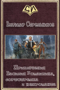 Приключения Василия Ромашкина, бортстрелка и некроманта - Владимир Валериевич Стрельников