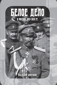 Белое дело в России, 1917–1919 гг. - Василий Жанович Цветков