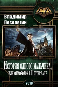 История одного мальчика, или Отморозок в «Поттериане» - Владимир Геннадьевич Поселягин