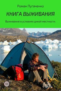 Книга выживания - Роман Игоревич Пугаченко