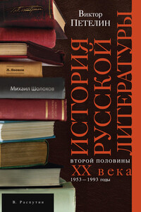 История русской литературы второй половины XX века. Том II. 1953–1993. В авторской редакции - Виктор Васильевич Петелин