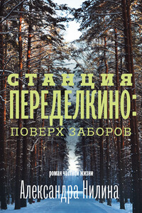 Станция Переделкино: поверх заборов - Александр Павлович Нилин