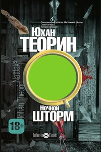 Ночной шторм - Юхан Теорин