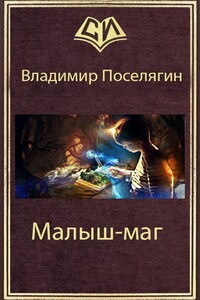 Малыш-маг - Владимир Геннадьевич Поселягин