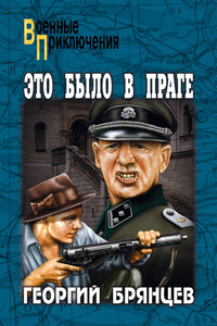 Это было в Праге. Том 1. Книга 1. Предательство. Книга 2. Борьба - Георгий Михайлович Брянцев