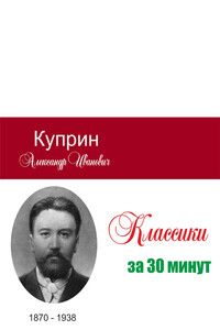 Куприн за 30 минут - Илья Валерьевич Мельников