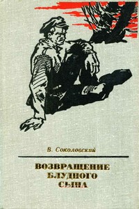 Возвращение блудного сына - Владимир Григорьевич Соколовский