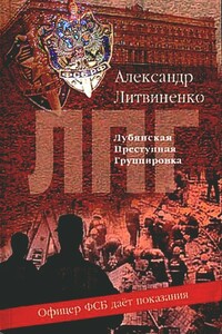 Лубянская преступная группировка - Александр Вальтерович Литвиненко