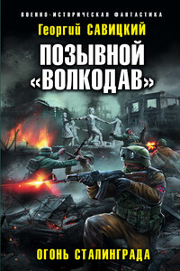 Огонь Сталинграда - Георгий Валерьевич Савицкий