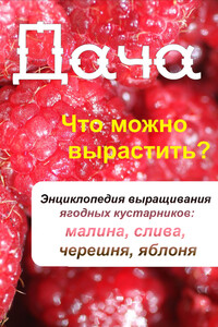 Что можно вырастить? Энциклопедия выращивания ягодных кустарников: малина, слива, черешня, яблоня - автор неизвестный