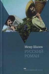 Русский роман - Меир Шалев