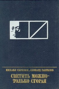 Светить можно - только сгорая - Леонард Николаевич Гаврилов