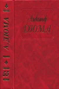 Охотник на водоплавающую дичь. Папаша Горемыка. Парижане и провинциалы - Александр Дюма