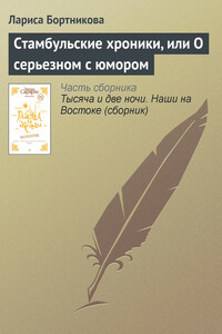 Стамбульские хроники, или О серьезном с юмором - Лариса Николаевна Бортникова