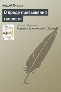 О вреде превышения скорости - Андрей Юрьевич Курков