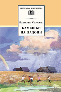 Камешки на ладони - Владимир Алексеевич Солоухин