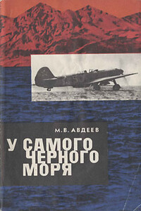 У самого Черного моря. Книга II - Михаил Васильевич Авдеев