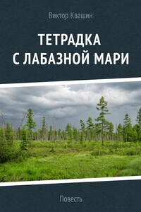 Тетрадка с лабазной мари - Виктор Георгиевич Квашин