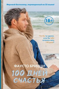 100 дней счастья - Фаусто Брицци