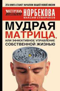 Мудрая матрица, или Эффективное управление собственной жизнью - Максим Геннадьевич Сумароков