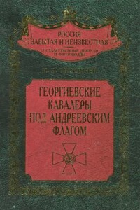 Георгиевские кавалеры под Андреевским флагом - Николай Владимирович Скрицкий